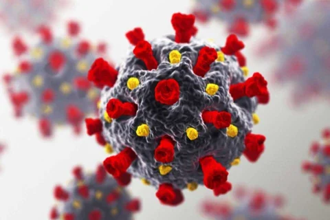 Microscopic image of covid-19 virus