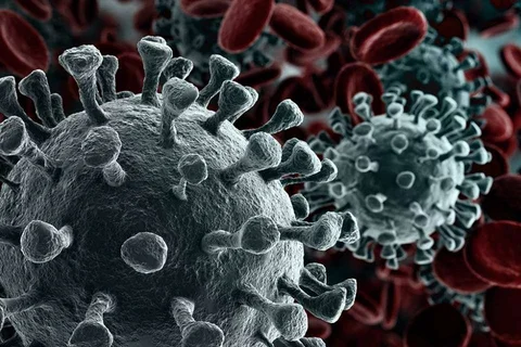 Microscopic view of Corona Virus